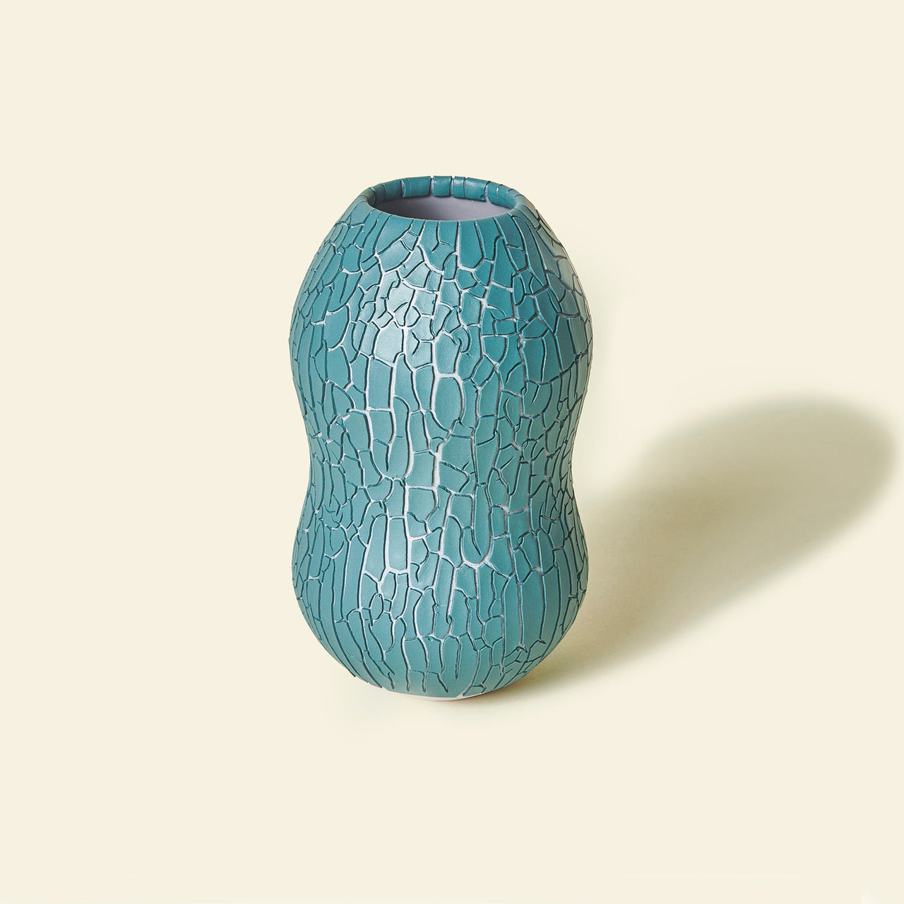 Houseplant Crackle Vase by Seth
