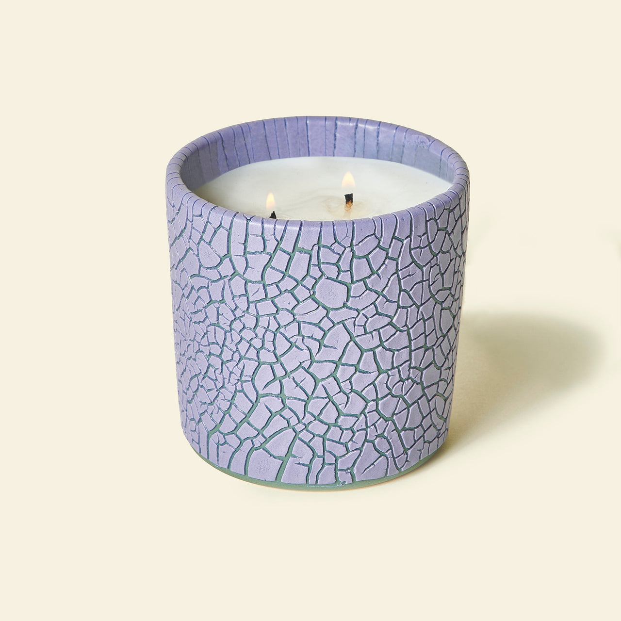 Houseplant Crackle Candle by Seth